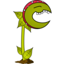 Carnivorous Plant