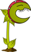 Carnivorous Plant