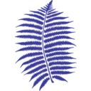 download Fern clipart image with 135 hue color