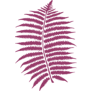 download Fern clipart image with 225 hue color