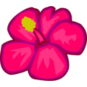 Pink Flower