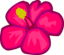 Pink Flower