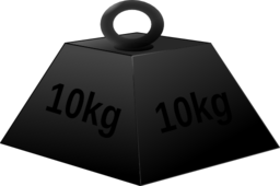 10 Kg Weight