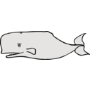 download Whale clipart image with 180 hue color