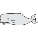 Whale