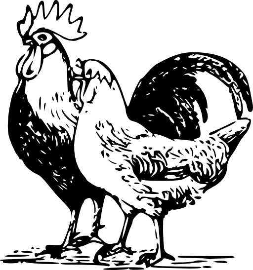 Poultry 3