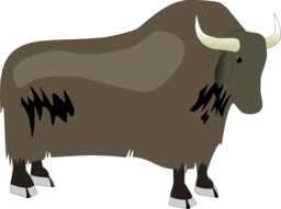 Yak