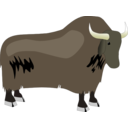 Yak