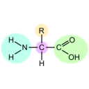 download Amino Acid Highlight clipart image with 45 hue color