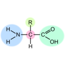 download Amino Acid Highlight clipart image with 90 hue color