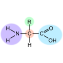 download Amino Acid Highlight clipart image with 135 hue color