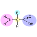 download Amino Acid Highlight clipart image with 180 hue color