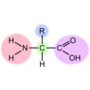 download Amino Acid Highlight clipart image with 225 hue color