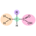 download Amino Acid Highlight clipart image with 270 hue color