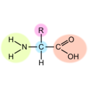 download Amino Acid Highlight clipart image with 315 hue color