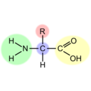 download Amino Acid Highlight clipart image with 0 hue color