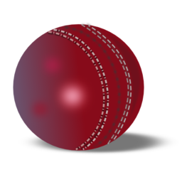 Cricket Ball Icon