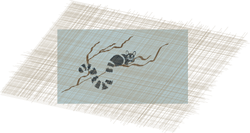 Raring Ringtail Cat