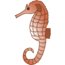 download Seahorse clipart image with 180 hue color