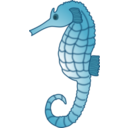 Seahorse