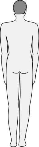 Male Body Silhouette Back