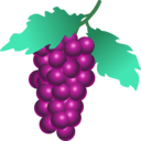 download Grapes clipart image with 45 hue color