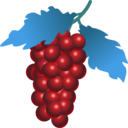 download Grapes clipart image with 90 hue color