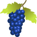 download Grapes clipart image with 315 hue color