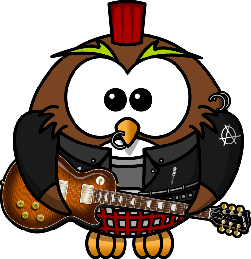 Punk Owl