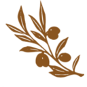 download Olive Tree Branch clipart image with 270 hue color