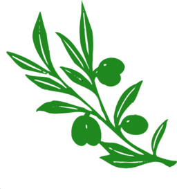 Olive Tree Branch