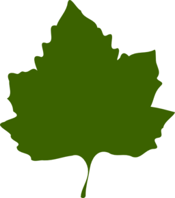 Leaf 02