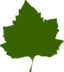 Leaf 02