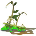 Distopia