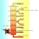 download Petroleum Distillation clipart image with 0 hue color