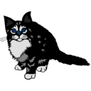 download Kitten Black clipart image with 180 hue color