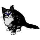 download Kitten Black clipart image with 225 hue color