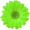 download Flower 04 clipart image with 90 hue color