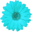 download Flower 04 clipart image with 180 hue color