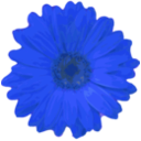 download Flower 04 clipart image with 225 hue color