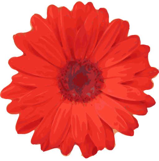 Flower 04