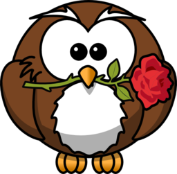 Owl With Rose