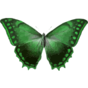 download Morpho Theseus clipart image with 90 hue color