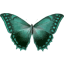 download Morpho Theseus clipart image with 135 hue color