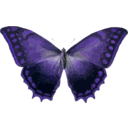 download Morpho Theseus clipart image with 225 hue color