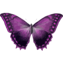 download Morpho Theseus clipart image with 270 hue color