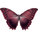 download Morpho Theseus clipart image with 315 hue color