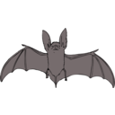 Bat