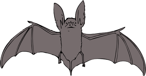 Bat