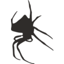 Spider Silhouette